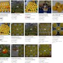 창원농장 이미지