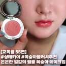 샹테카이 블러셔 추천 복숭아 메이크업 솔직후기