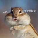 영주자인병원 이미지