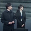 비밀의숲 이미지