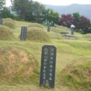 진상동 Daum카페