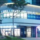 국제동물병원 이미지