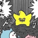 살롱제주