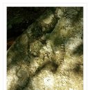 용동1리 이미지