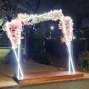 장안2제방 이미지