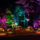 바이킹노래연습장 이미지