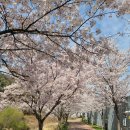 노작공원(오산천변) 이미지