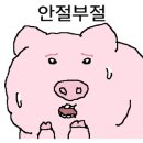 돼지날다 이미지