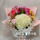 수요일 - 종로구 인사동길 36 | 수요일