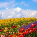 주식회사 버스투어여행사 이미지