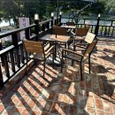 이조장어 이미지