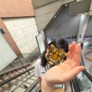 영남루반점 | 26