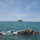 사진으로 본 마량리 동백나무숲_7 이미지