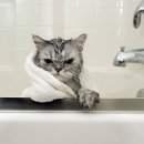 연두동물병원 이미지