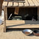 종인목장 이미지