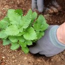 팜팜농장 이미지