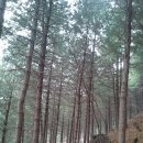 산음캠핑 이미지