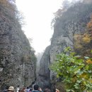 주왕산 죽변항 울진 금강송 회장님 보내준 사진 이미지