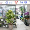 을지화원