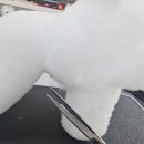 휴 애견미용 네이버블로그