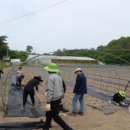 장동면 행정복지센터 이미지