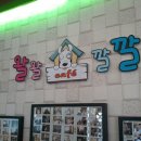 왈왈애견 이미지