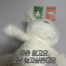 고강왕족발 | 3월