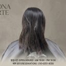 보나(BoNa) | 긴 생머리의 화려한 변신! 분위기 여신 만들어주는 '보나아르떼(BONA ARTE)' 젤리 히피펌 대성공 후기