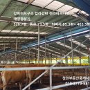 한우축사(2) Daum카페