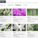 지에스25광주동림점 | 경기도 광주 | 곤지암리조트 부대시설 즐기기, 루지와 생태하천길