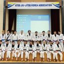 팀타이런트 유도 이미지