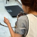 미용할개 | 평택애견미용 소사벌애견미용 동그리아에서 스파받은 후기