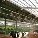 도강농장 이미지