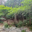 거창군청소년수련관 | 목포 아이랑 가볼만한곳 양을산 산림욕장 계곡 산책 후기