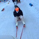 플레이랜드 | 에버랜드 스노우야드,스노우플레이그라운드(이용후기 / 위치 /즐길거리)