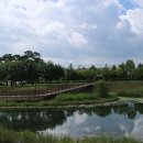 세종호수공원 이미지