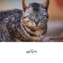 도리1길 이미지