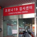 나루여행사