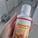 시약 | [임신 26주차] 임당검사 후기 &amp; 시약 맛 - 검사 시기 금식 시간 물