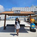 울릉관광옥천호텔 | 울릉도 떠나기 전 사동항 필수 맛집 신비섬횟집 / 울릉크루즈 사동항 차량선적 발권 위치