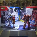 스퀘어독스 이미지