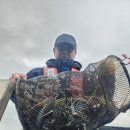 화인민박 이미지