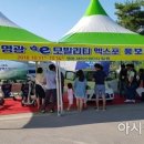 엑스포홍보관 이미지