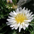 차만들기 이미지