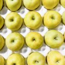 민아농장 이미지