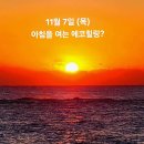 11월 7일(목)아침을 여는 건강한 에코힐링(글 전체보기는 글주소 클릭!) 이미지