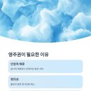 비자인 행정사 사무소 이미지