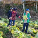 청풍면행정복지센터 이미지