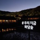 모노레일커피 이미지