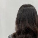 헤어(HAIR).다올 이미지
